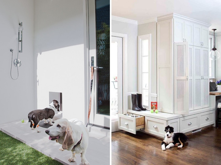 6 dicas para decorar e criar projetos de interiores com cachorros